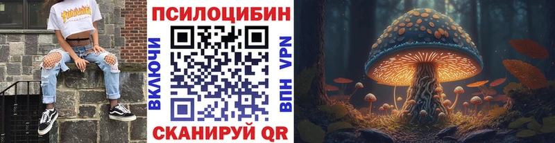 Галлюциногенные грибы мухоморы  даркнет сайт  kraken   Нязепетровск 